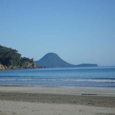 Beachfront Bliss Ohope Экстерьер фото