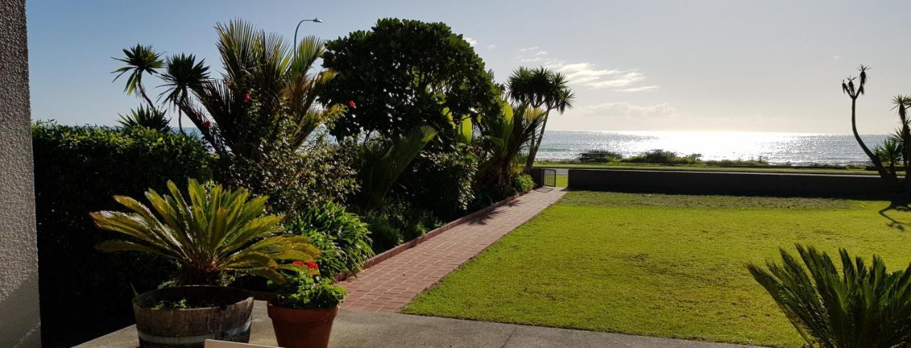 Beachfront Bliss Ohope Экстерьер фото