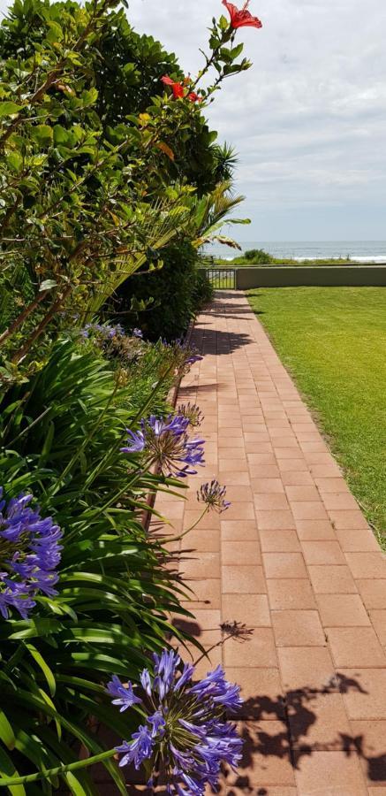 Beachfront Bliss Ohope Экстерьер фото