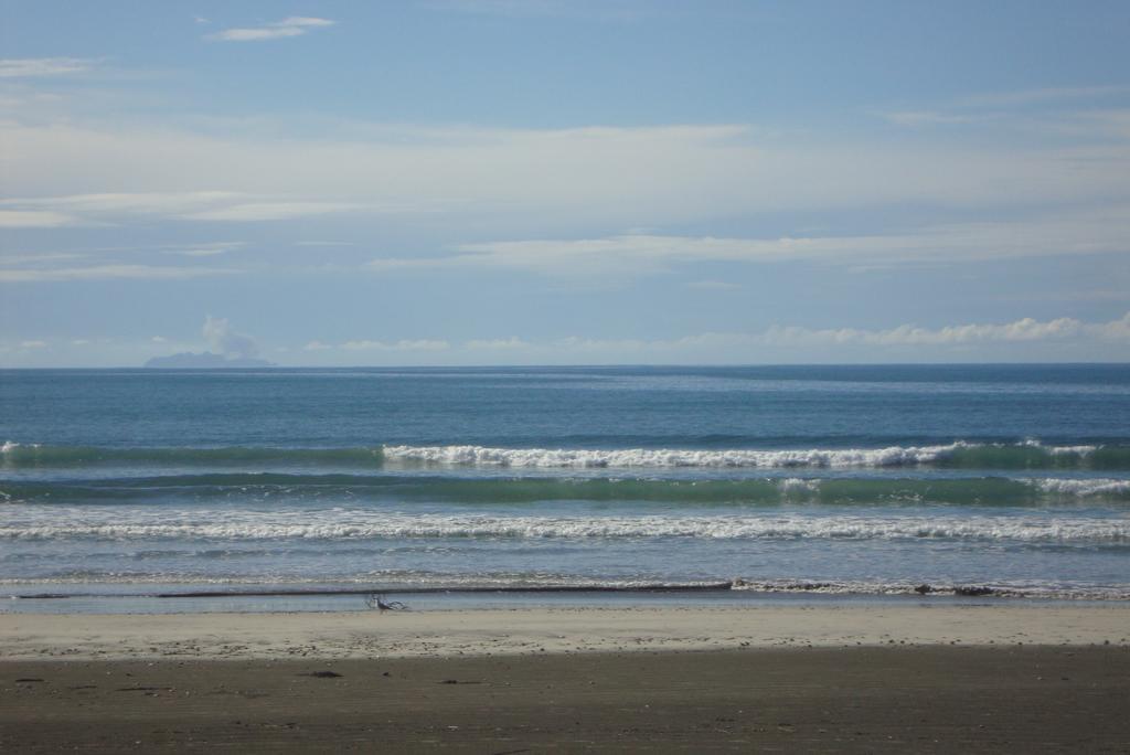 Beachfront Bliss Ohope Экстерьер фото